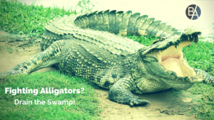 Fighting Alligators? Drain the Swamp!