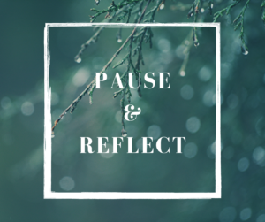 Pause in Reflect this Year