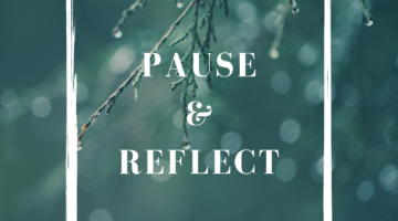 Pause in Reflect this Year